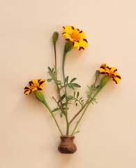Marigold flowers in a clay vase on a  beige pastel paper background. Top view, floral background. Minimalism.