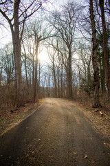 Fototapeta premium A Blacktop Path in a Dead Winter Forest With a Bright Sunset Behind It