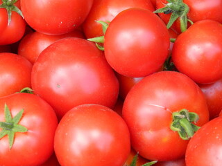 harvest of vegetables, tomatoes, eggplant, peppers