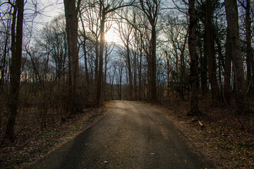 A Blacktop Path in a Dead Winter Forest With a Bright Sunset Behind It