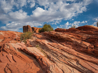 Pflanzen wachsen auf den bunten Gesteinsschichten
