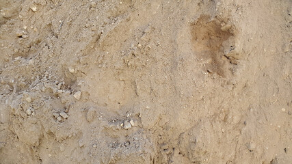 Sand surface. Loose sand. Sand. Grainy texture