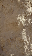 Sand surface. Loose sand. Sand. Grainy texture