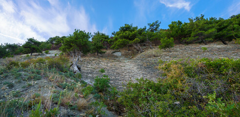 Trees grow on the rock. In background blue sky with clouds.