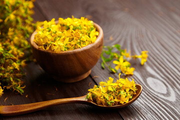 Hypericum perforatum or St johns wort medicine plant flowers in wooden bowl and spoon