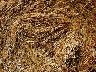 background texture wallpaper using tree bark structure, wood and straw products in Podlasie, Poland