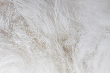 Closeup soft cat fur blurred background. Blur white wool cat texture.