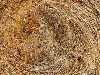 background texture wallpaper using tree bark structure, wood and straw products in Podlasie, Poland