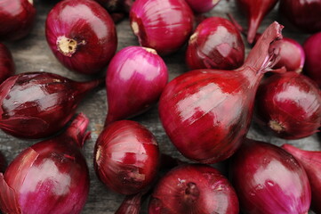 harvest of purple onions on gray textured background.