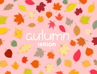 Autumn season vector banner with leaves