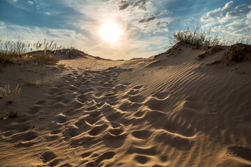 Beautiful desert landscape with dunes. Walk on a sunny day on the sands.