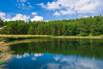 Obraz na płótnie Canvas 原村のため池の風景