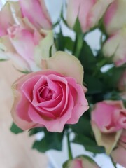 bouquet of pink roses