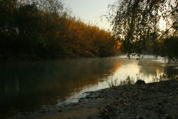 Otoño en el río. Río Segura, Cieza, Murcia, España.