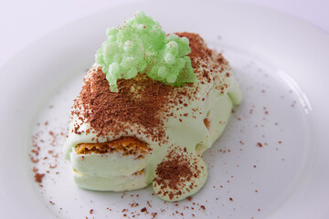 Homemade tiramisu, a traditional Italian dessert. Shallow dof.