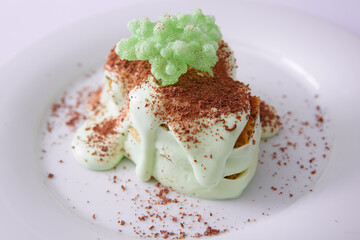 Homemade tiramisu, a traditional Italian dessert. Shallow dof.