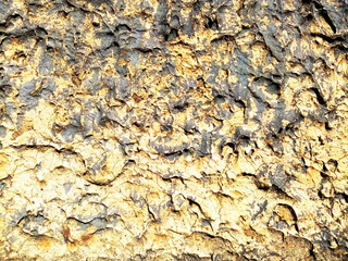 Facade texture of a very old house