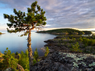 Island shore on lake Ladoga. Summer landscape. Wild nature