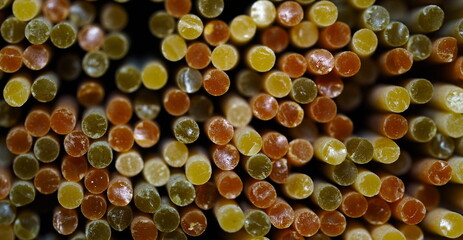 close up of colorful tricolor spaghetti pasta