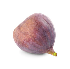 Whole tasty fresh fig isolated on white
