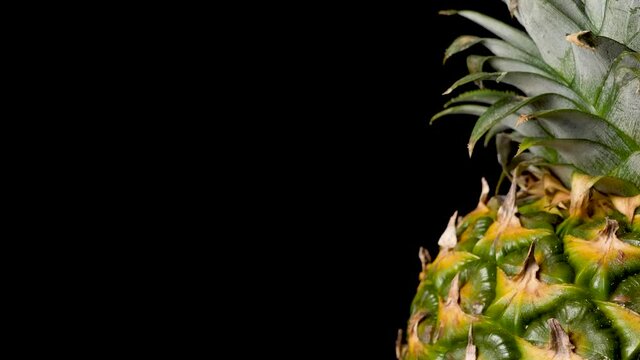 Texture of Ripe Pineapple Skin - Slow Panning Reveal - Extreme Close-up