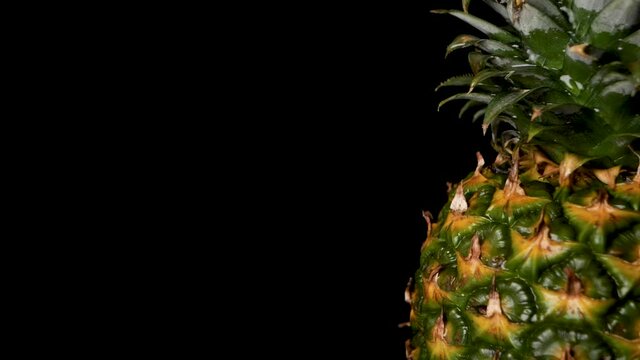 Organic Pineapple with Water Flowing - Extreme Close Up - Copy Space for Text