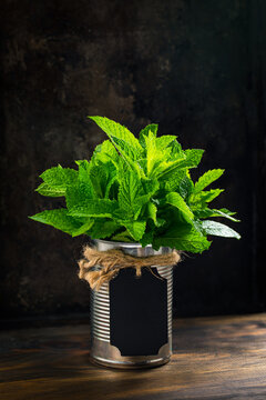 Fresh Mint Leaves in a tin can on a wooden table