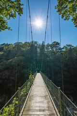 Obraz premium 天竜峡