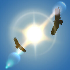 Flying eagles silhouettes on sun background. A vector illustration of a eagle flying in front of the sun.