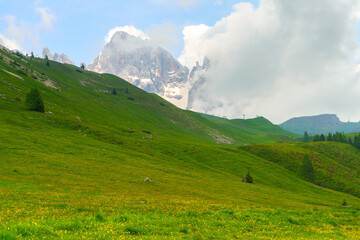 Fototapeta premium Landscape of Dolomites in Venegia valley at summer