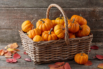 Basket with beautiful mini pumpkins on wooden planks, holiday decoration