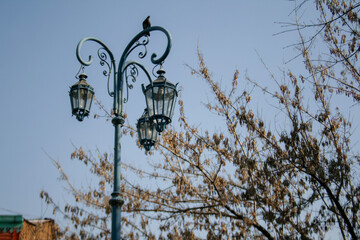 lamp blue sky tree winter