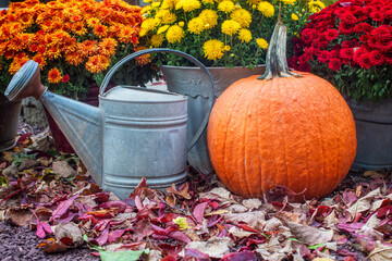 fall display 6413 MO