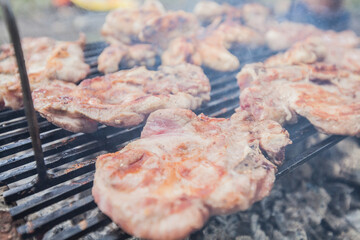 Grilled Meat , summer picnic , cooking food outdoor