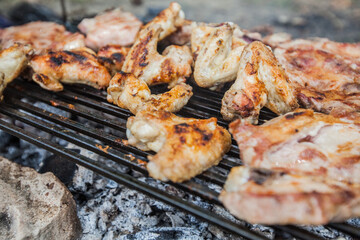 Grilled Meat , summer picnic , cooking food outdoor
