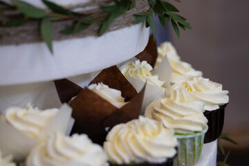 cake with cream