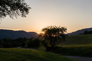 A small country road between meadows in the Black Forest at sunset