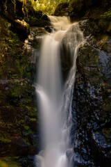 Obraz premium waterfall in the forest