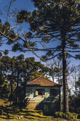 house in the forest