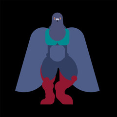 Strong dove. Powerful pigeon. hard City bird bodybuilder