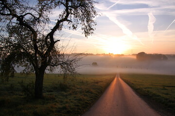 Sunrise on a cold and misty autumn morning in the Eifel hills with fields, apple tree and farm...