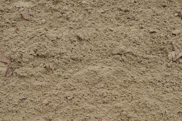 Sand