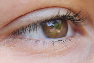 Obraz premium brown eye closeup of eyeball background with olive skin 