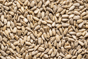 Peeled sunflower seeds.