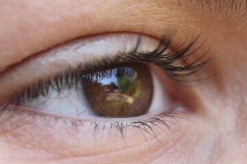 brown eye closeup of eyeball background with olive skin 