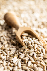 Peeled sunflower seeds.