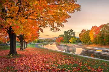 Foto op Plexiglas autumn in the park © clau10