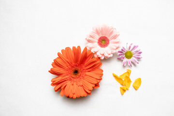 flower display on table
