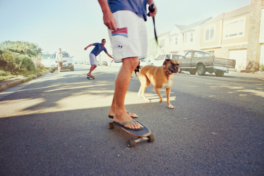 Men Skateboarding with Pet Dogs Running