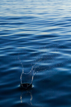 Water splash